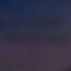 Meet your Posher, Amina